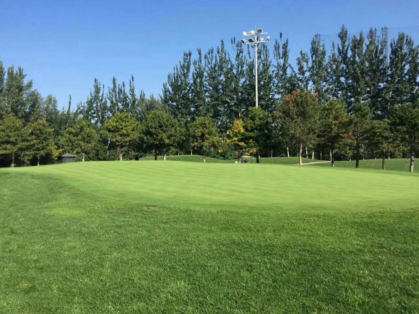 DONGMI INTERNATIONAL GOLF CLUB dongmi-international-golf-club