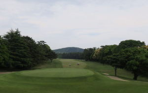 泰国棕榈树高尔夫球场 Loch Palm Golf Club